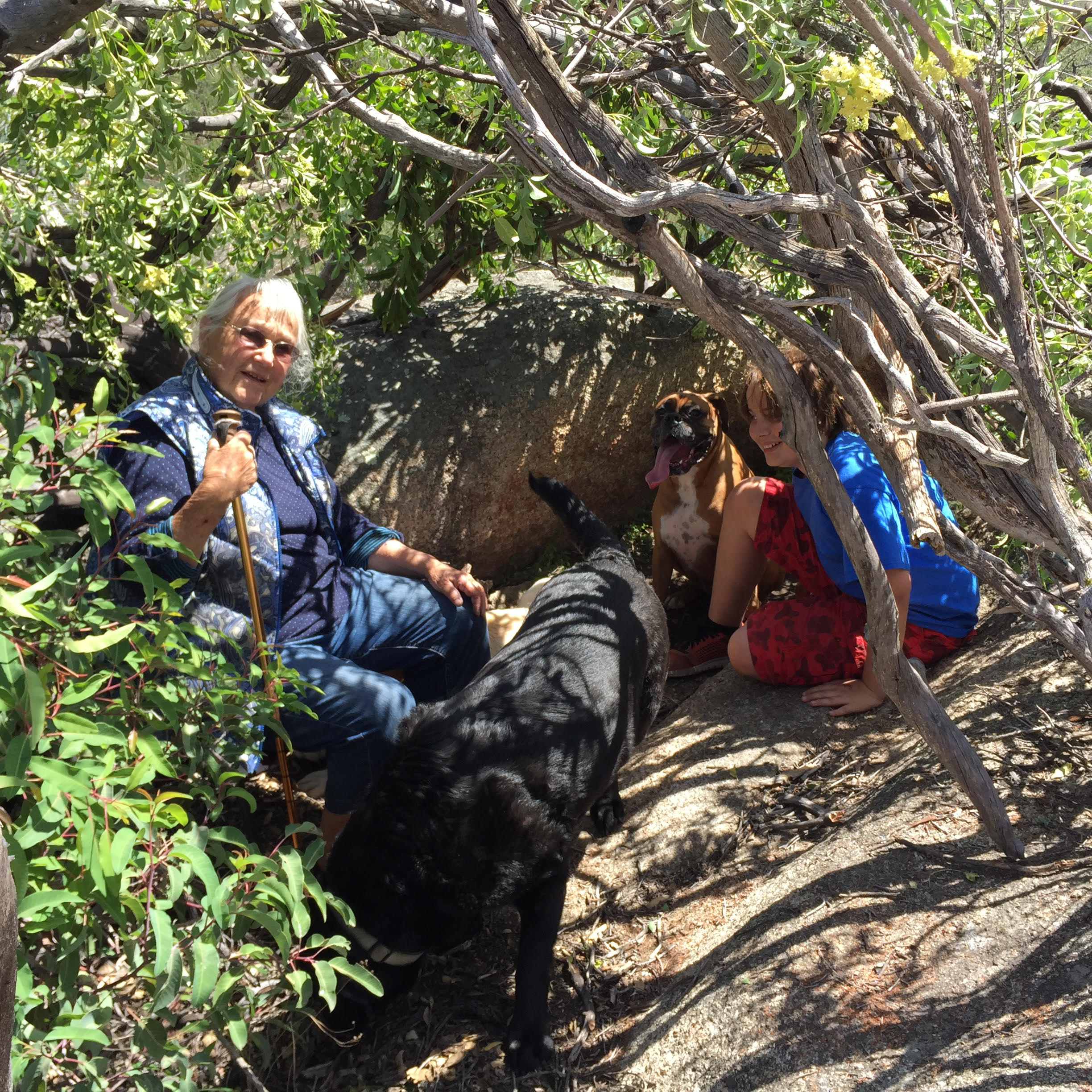 Sue with grandkids and dogs under a tree shelter